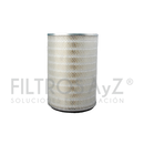 P181046 FILTRO DE AIRE