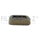 FILTRO AIRE CANGUROS FORTE